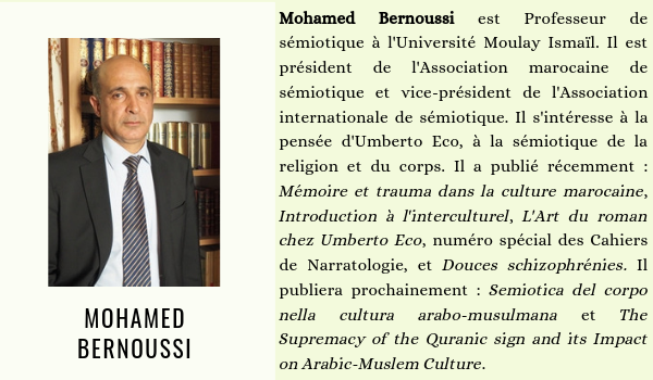 Mohamed Bernoussi